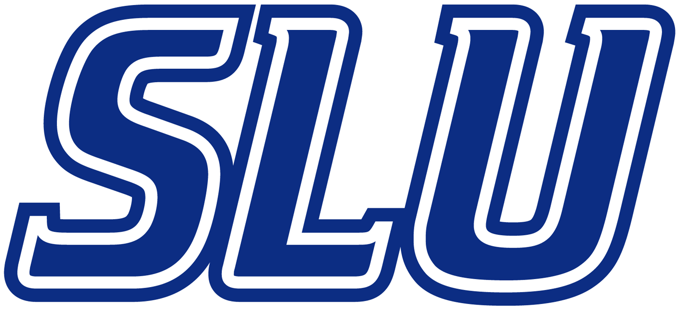 Saint Louis Billikens 2002-Pres Wordmark Logo v2 iron on transfers for fabric